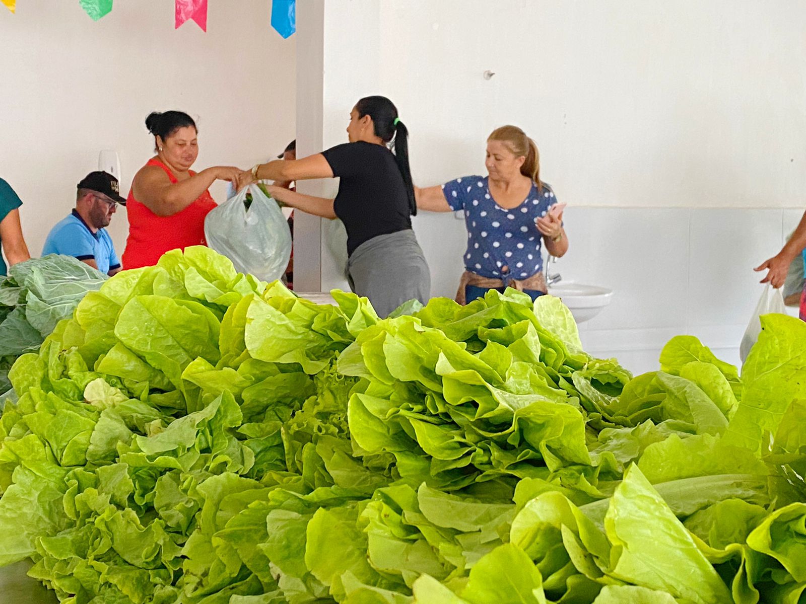 Prefeitura de Monteiro realiza distribuição de 5 toneladas de verduras do PAP