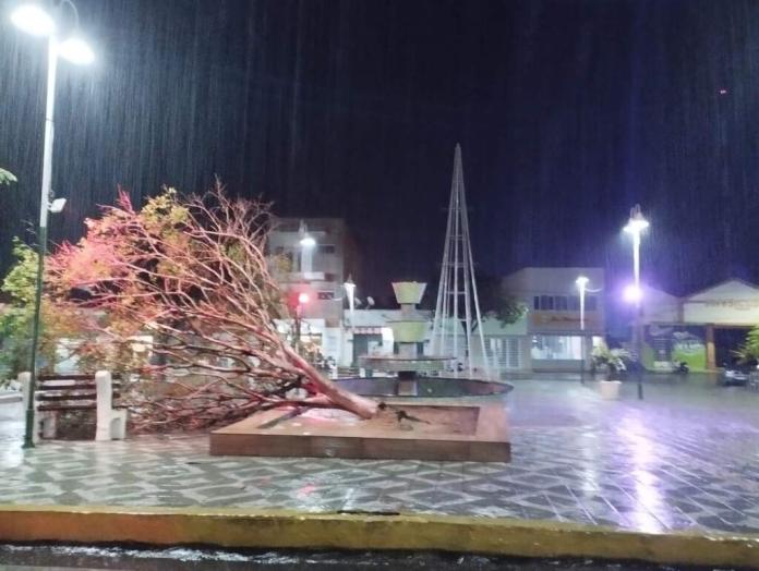 CHUVAS NA PARAÍBA: Saiba onde mais choveu nas últimas 24 horas