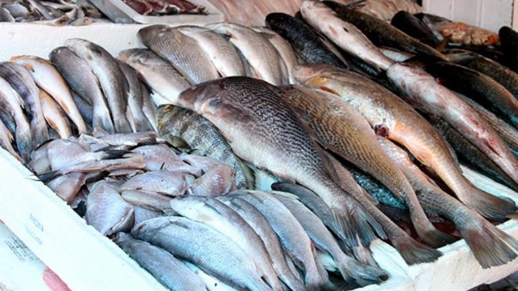 Distribuição de peixes na Semana Santa: religiosidade e socorro aos famintos