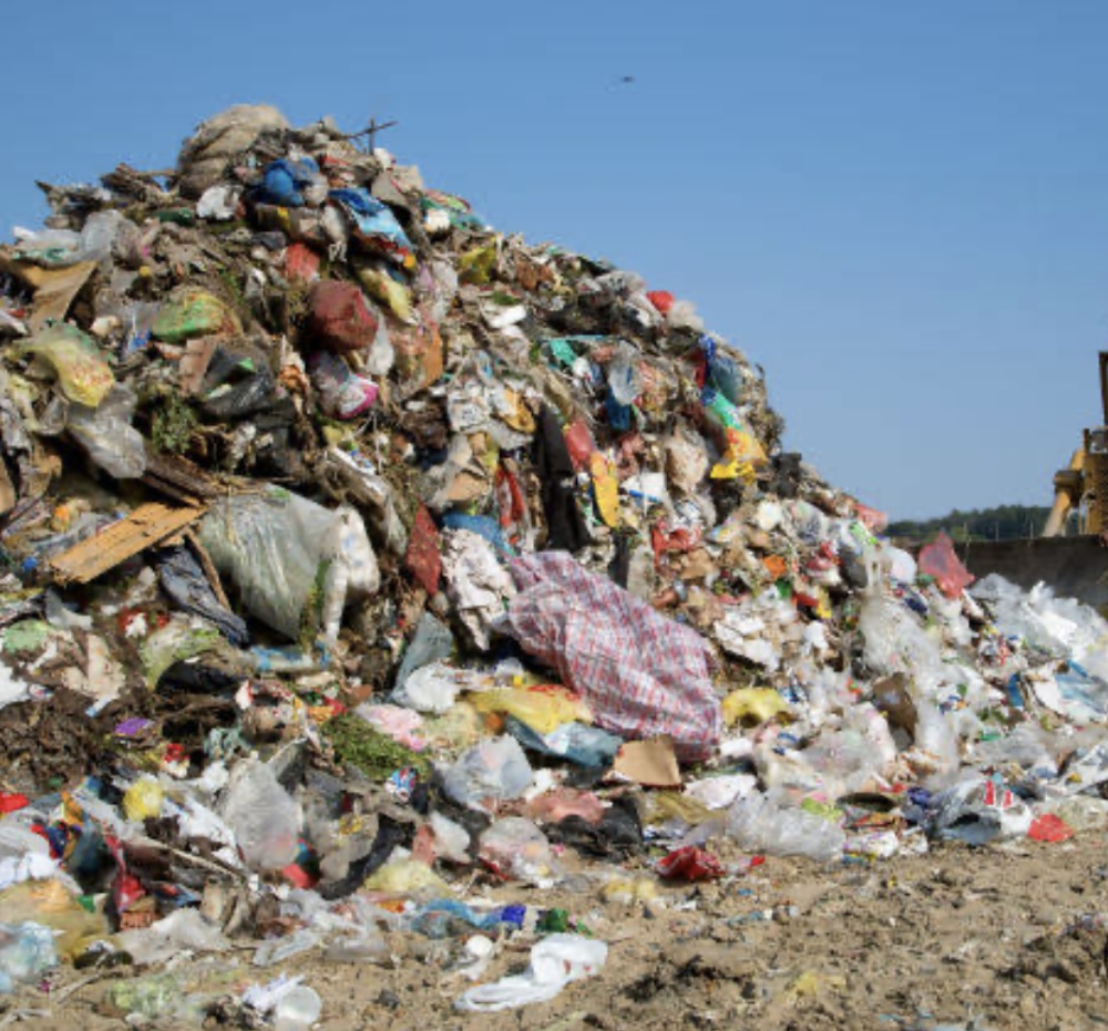 Tribunal de Justiça da Paraíba condena prefeito por crime ambiental