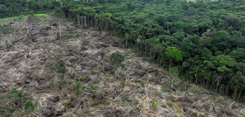 Desmatamento na Amazônia recua em junho e retorna à níveis pré-Bolsonaro