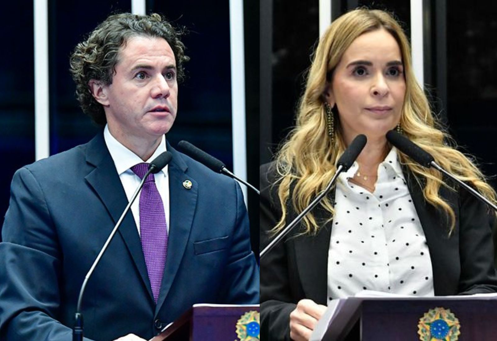 Veneziano diz que Daniella faz do Congresso Nacional passarela para desfile de moda e senadora pede trégua: “Sem jogar baixo”