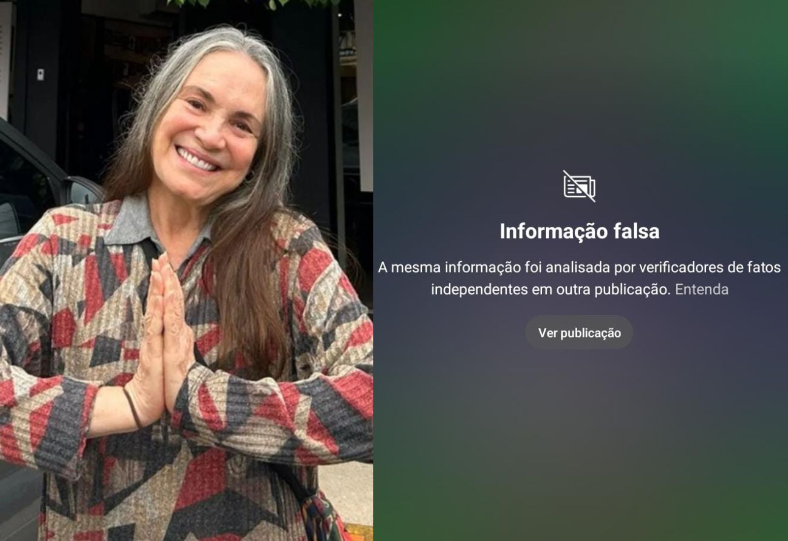 Regina Duarte posta vídeo manipulado de Nando Reis e instagram solta alerta de informação falsa; Entenda o caso