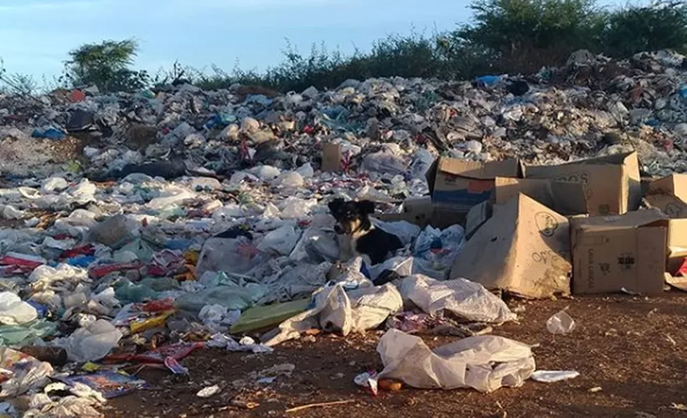 MPPB revela que nove municípios paraibanos ainda têm lixão a céu aberto; confira quais