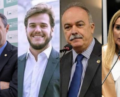 Romero Rodriguies, Bruno Cunha Lima, ,Inácio Falcão e Daniella Ribeiro - Senadora Daniella Ribeiro (Foto:Divulgação/Reprodução/Roque de Sá/Agência Senado).