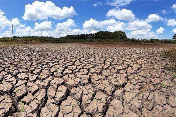 Estiagem na Paraíba: Governo Federal reconhece emergência em municípios e libera recursos