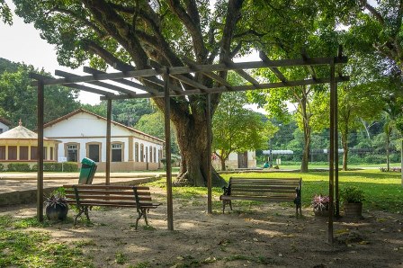 Jardim Botânico prepara programação especial para o Dia das Crianças